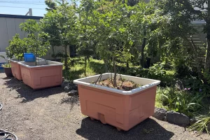 FRPプランター　屋外大型サイズ